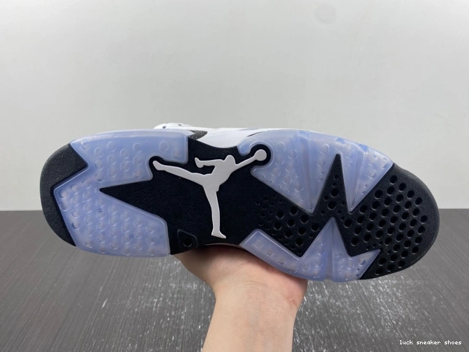 Rep LUCY Jordan Oreo 6 Reverse Air CT8529-112 0701